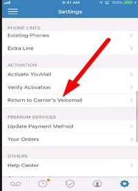 carriers voicemail option