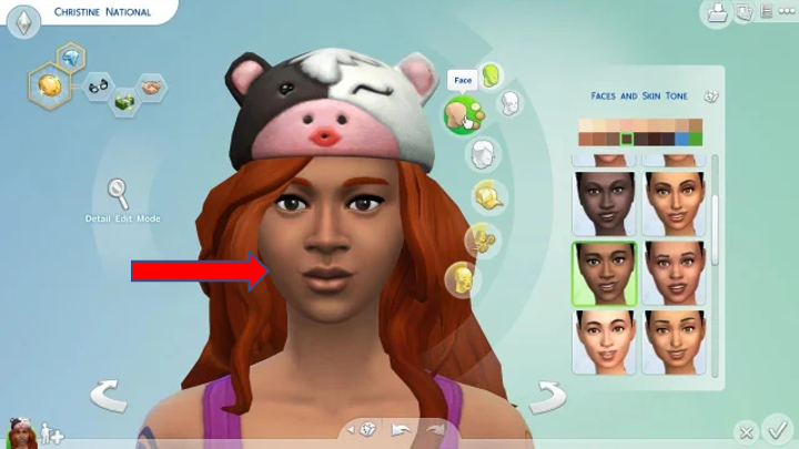 Change the Sims physical appearance