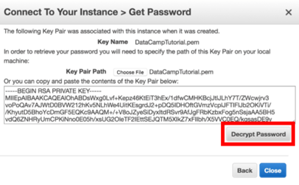 Click on Decrypt Password