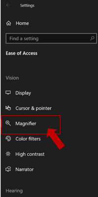 Magnifier Option