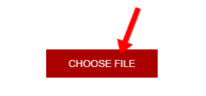 click the choose file button