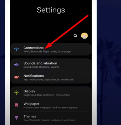 Connections option in settings