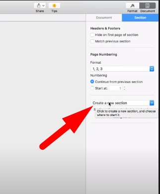 Create a new section option