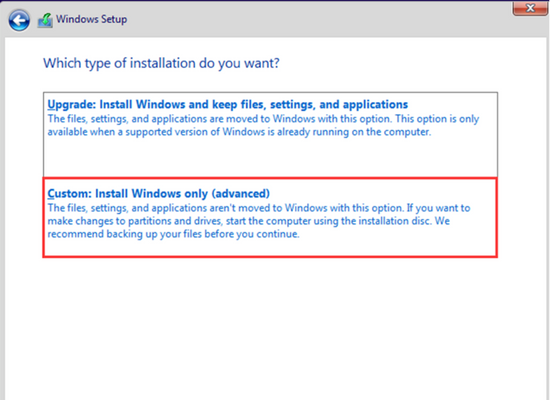 Custom Install Windows only
