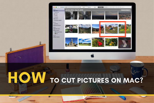 Cut Pictures on Mac