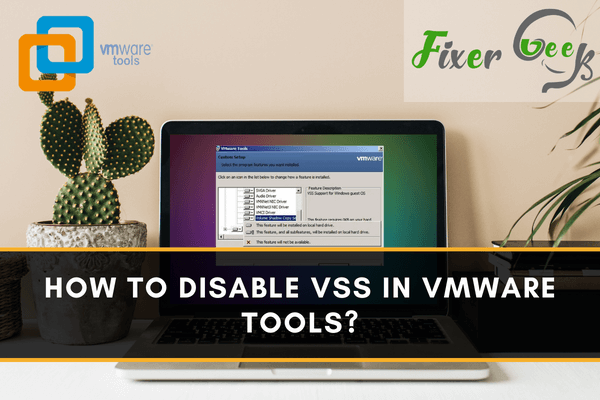 How to Disable VSS in VMware Tools?