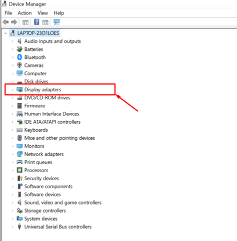 Display Adapter from the windows