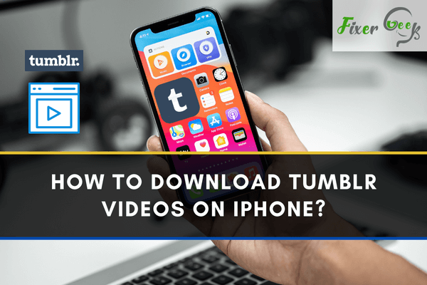 How to download Tumblr videos on iPhone?