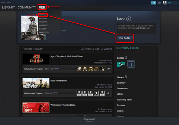 Clicking on Edit Profile on Steam