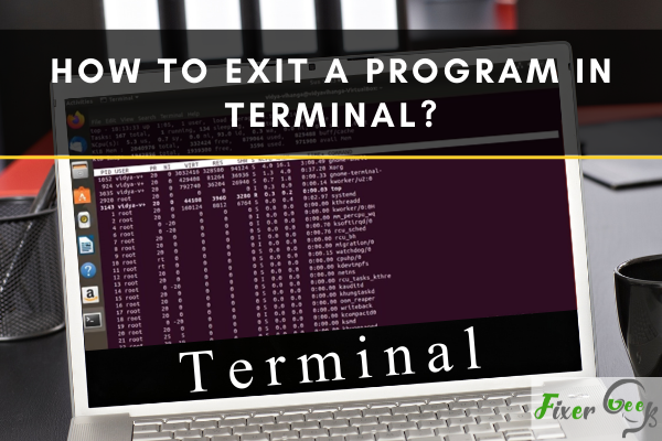 How to exit a program in terminal?