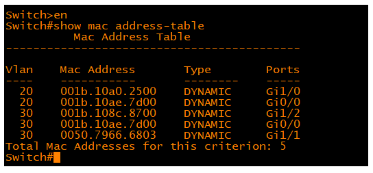 Exploring Mac Address through Suitable Command