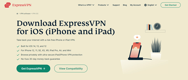 Express VPN window