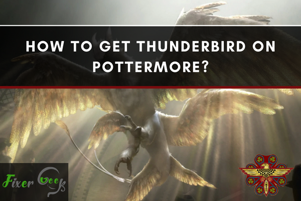 get Thunderbird on Pottermore
