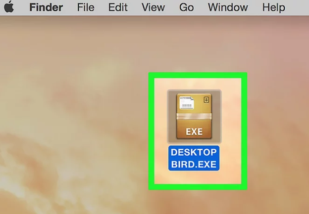 Locate the Exec file