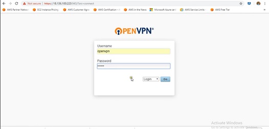 Log in to VPN website