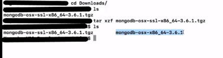 new folder for MongoDB