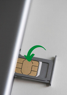 Place the sim card