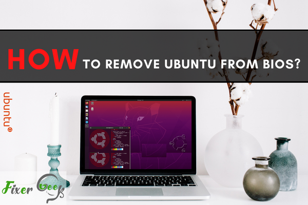 How to Remove Ubuntu from BIOS?