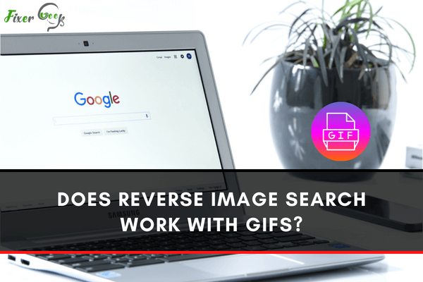 Does Reverse Image Search Work With GIF's?