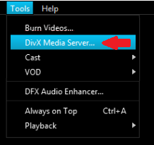 select DivX Media Server