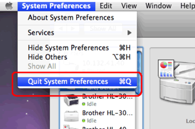 Select Quit System Preferences