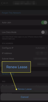 Select Renew Lease to confirm