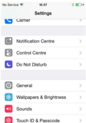 Settings section on iPhone