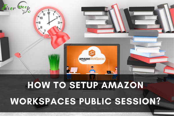 How to setup Amazon WorkSpaces public session?