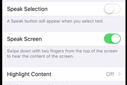 Speak Screen Option