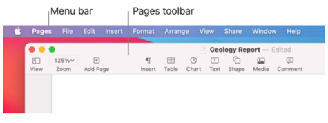 the Pages toolbar