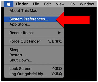 The Select System Preferences