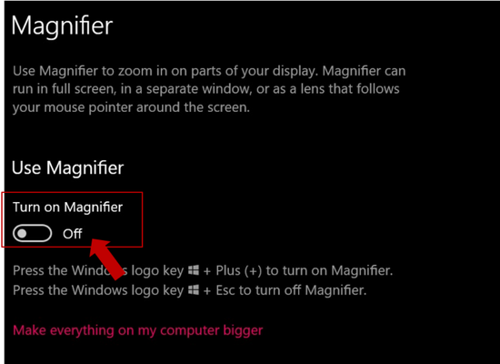 Turn on the Magnifier option