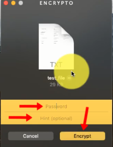 Type in a password and click Encrypt