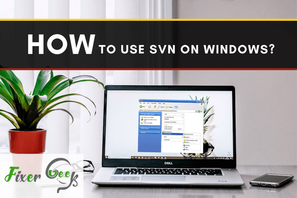 Use SVN on Windows