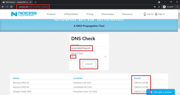 Using a DNS checker site